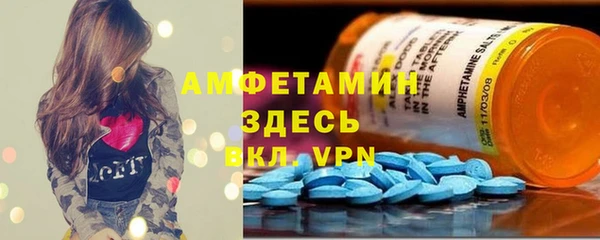 ГАЛЛЮЦИНОГЕННЫЕ ГРИБЫ Верея