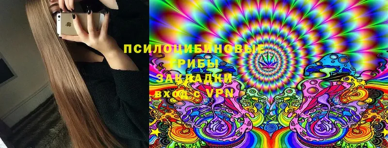 Псилоцибиновые грибы Magic Shrooms  hydra tor  Анива 